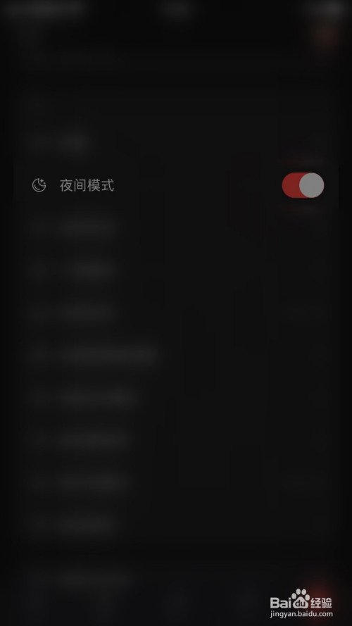 夜间模式，探索夜间生活的多元魅力