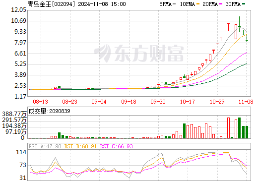 青岛金王，探寻辉煌背后的传奇故事