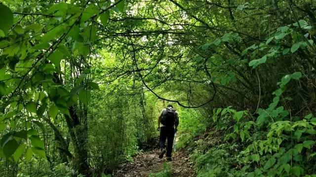 千佛山漂流，激流勇进，尽享水上激情之旅