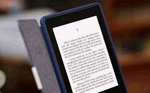 2024今晚新澳开奖号码,互动性策略解析_Kindle30.876