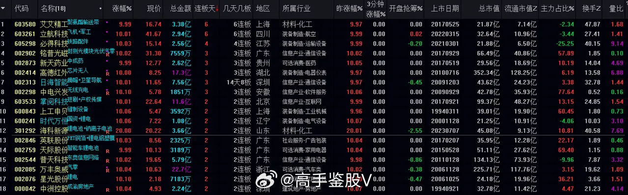 新澳王中王,实地验证分析策略_XT92.521