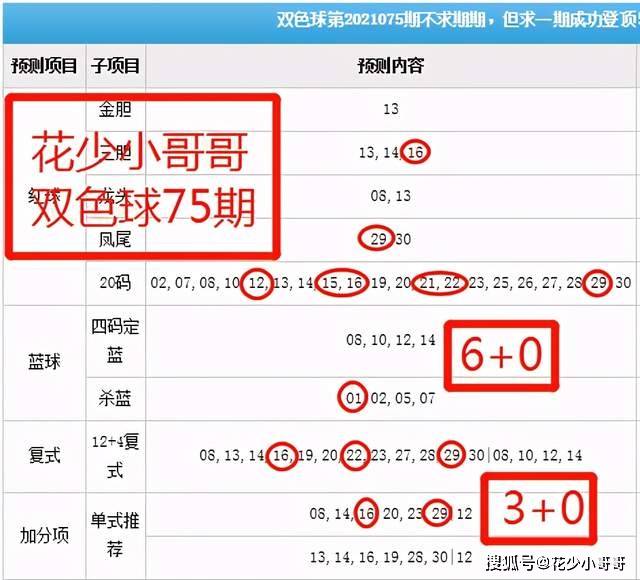 白小姐今晚特马期期准六,实践解析说明_领航款91.975