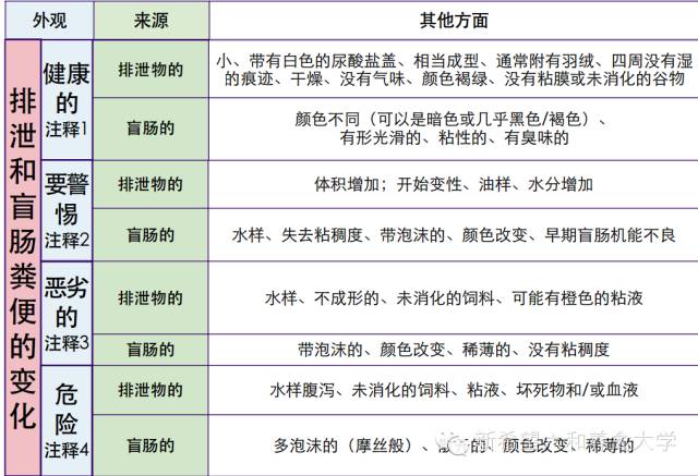 新澳门历史开奖记录查询今天,权威分析说明_Essential61.743