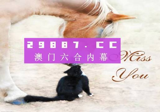 4949澳门天天彩大全,专业调查解析说明_超值版22.716