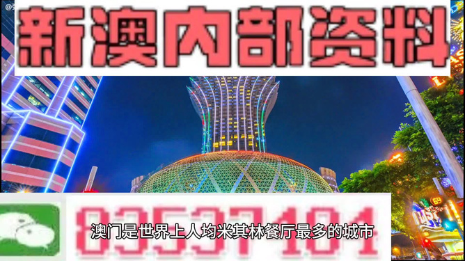 2024新澳门正版免费资料,2024澳门正版精准资料,新澳门免费资料大全精准版,202,实践说明解析_Windows28.993