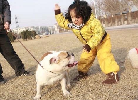 警惕家庭悲剧，居民被自家狗咬伤引发狂犬病致命事件警示社会关注安全防疫