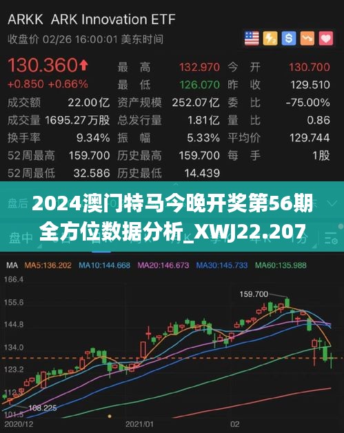 2024澳门今晚开特马开什么,高速方案解析响应_Plus45.619