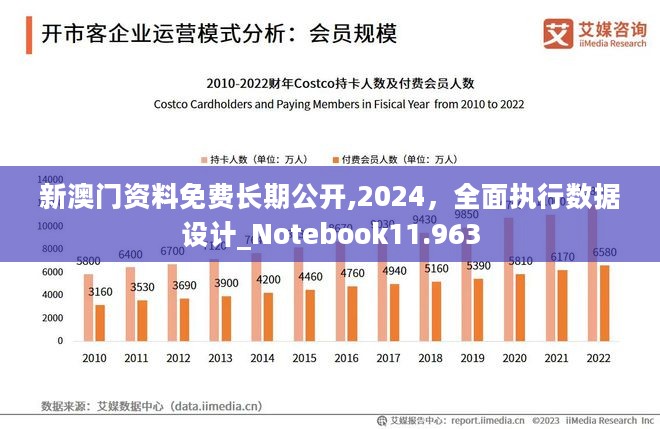 新澳门精准免费大全,数据设计驱动策略_10DM33.850