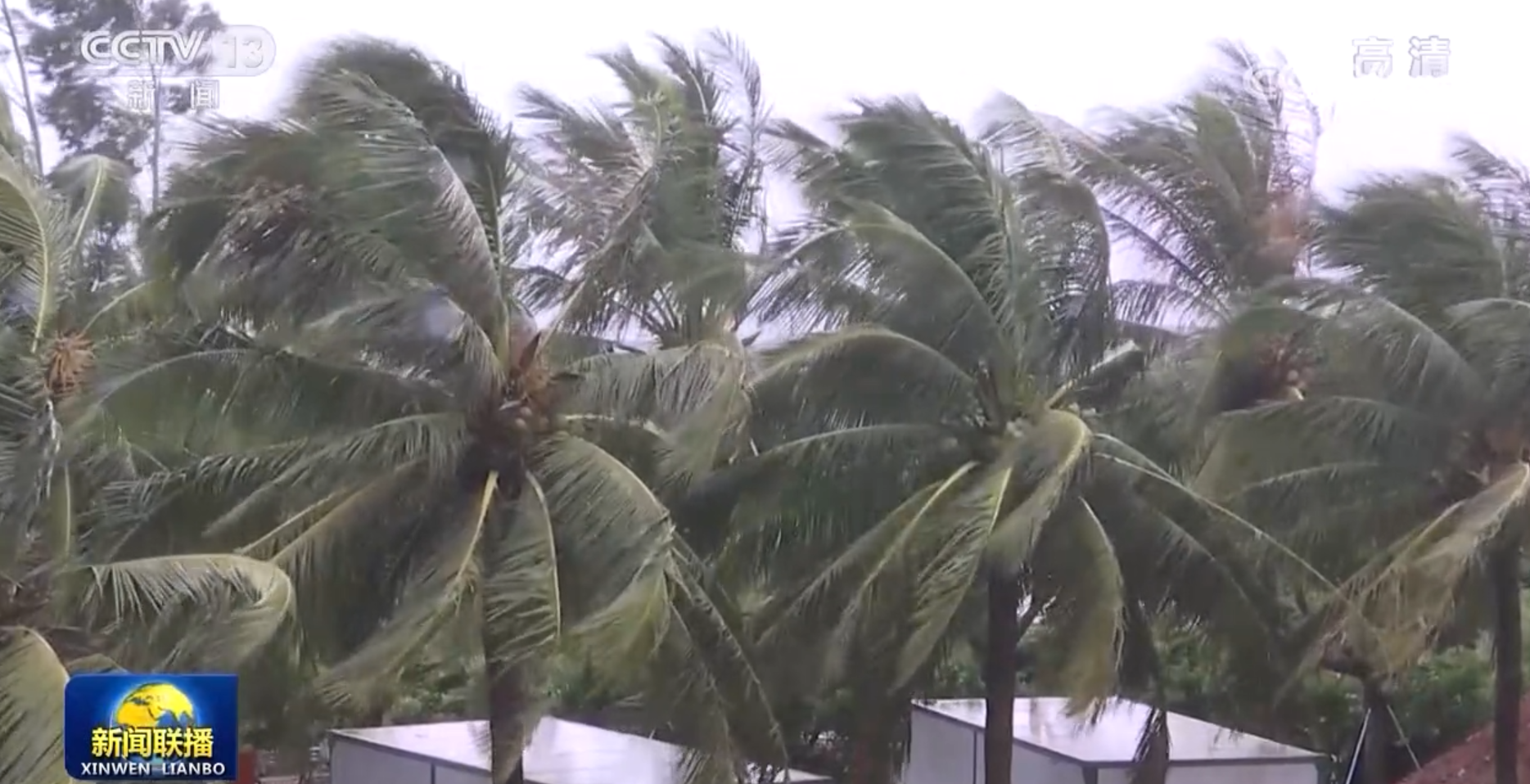 台风银杏对海南的影响及后果