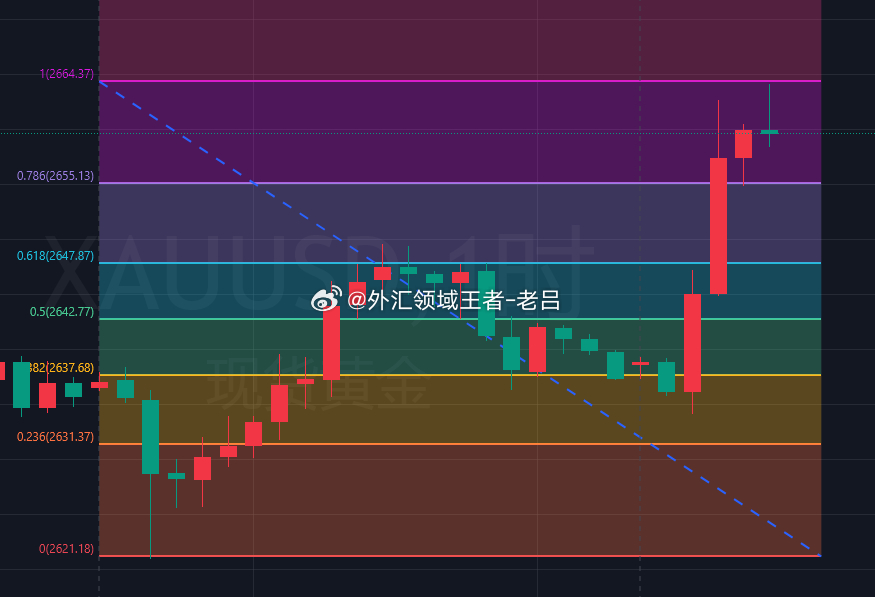 金价震荡调整走势分析与市场展望