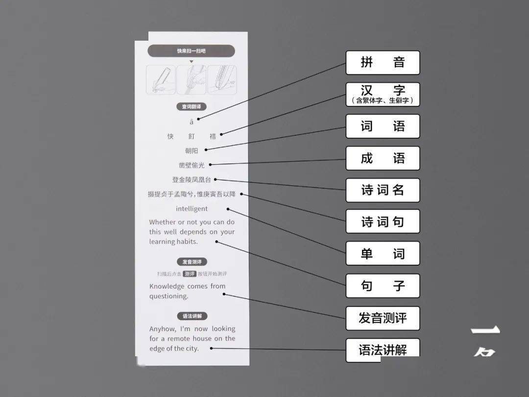 2024年12月9日 第15页