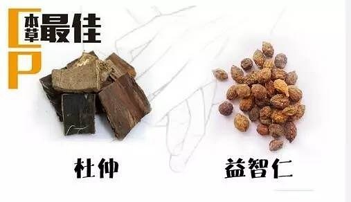 杜仲与益智仁，传统药材的神奇功效及主治解析