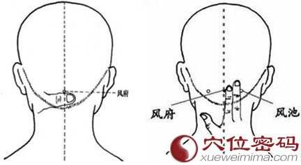 揭秘风府准确位置，人体风府的奥秘图解