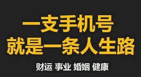 号令天下，车牌号吉凶预测与命运轮盘免费解读