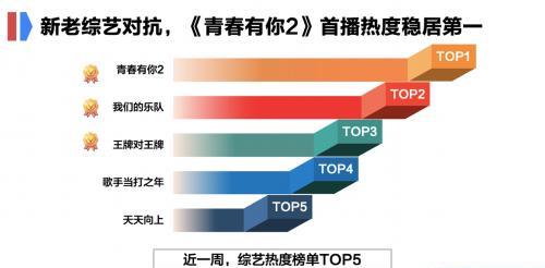 一码一肖100%准确 搜视网,数据导向策略实施_FHD15.197