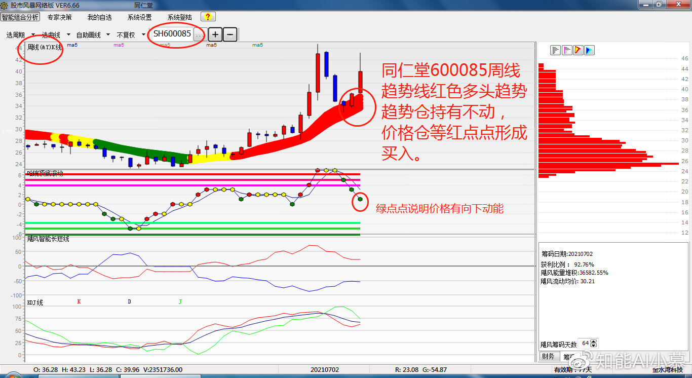 王中王王中王一肖中马,实效设计策略_FHD51.839