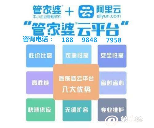 管家婆的资料一肖中特176期,实践性策略实施_suite65.647