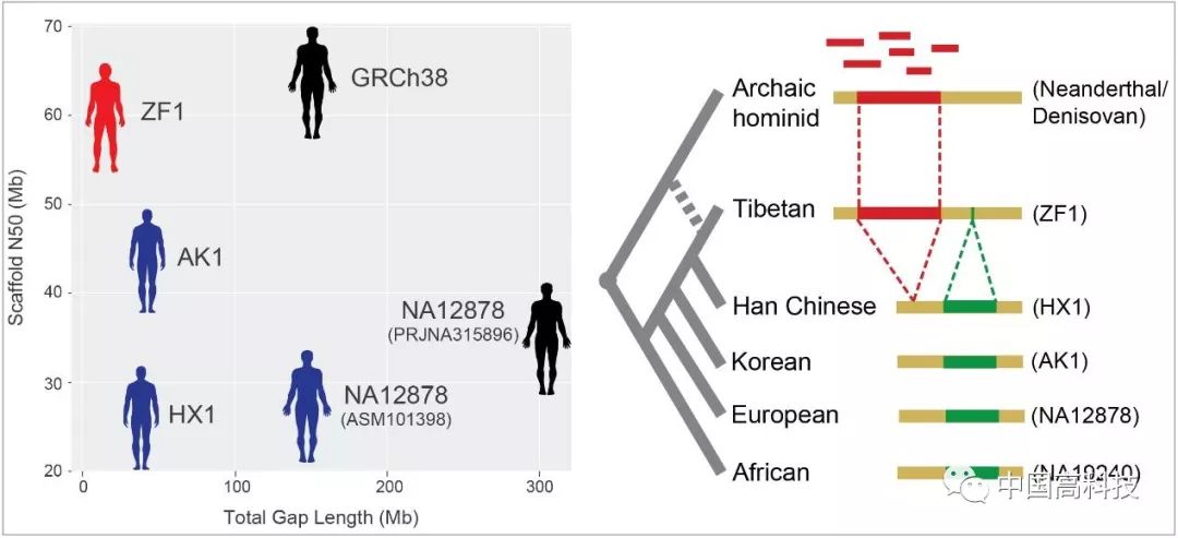 白小姐三肖三码一期期,科学分析解释定义_基础版14.689