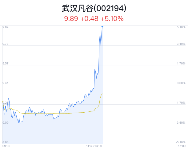 武汉凡谷股票最新动态，市场走势分析与前景展望