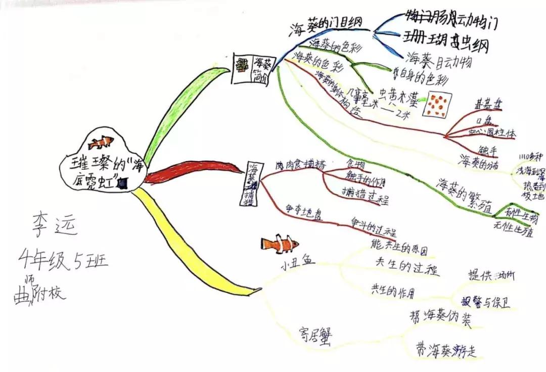 尘埃之旅，深度解读与心灵启示