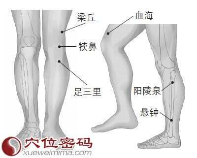 阳陵泉，功效与主治的奥秘揭秘