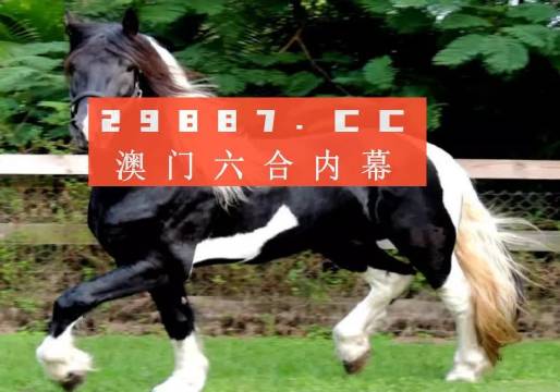 香港最准中特选一肖最新结果,理论解答解释定义_精英款45.486