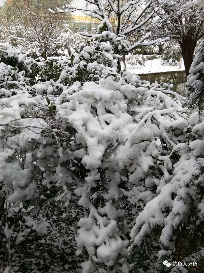 冰天雪地探秘北国风光壮丽之旅