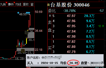 台基股份股票深度解析，投资潜力与未来前景展望