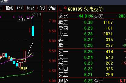 永鼎股份所属档次全面剖析