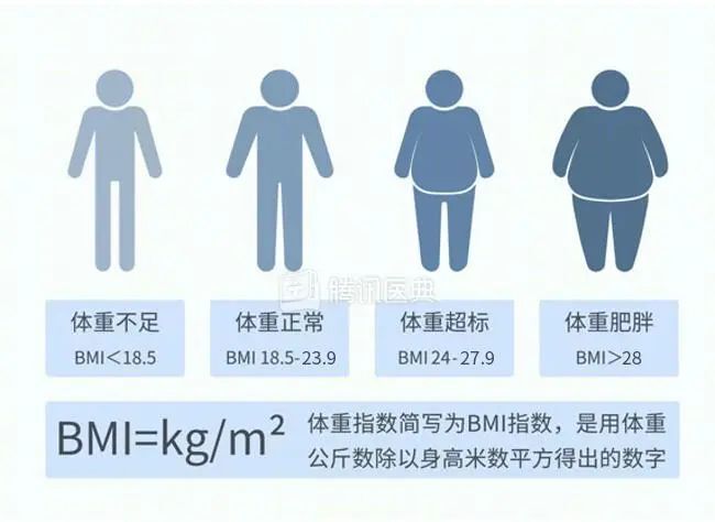 揭秘BMI计算公式与标准体重，数据引领健康之路