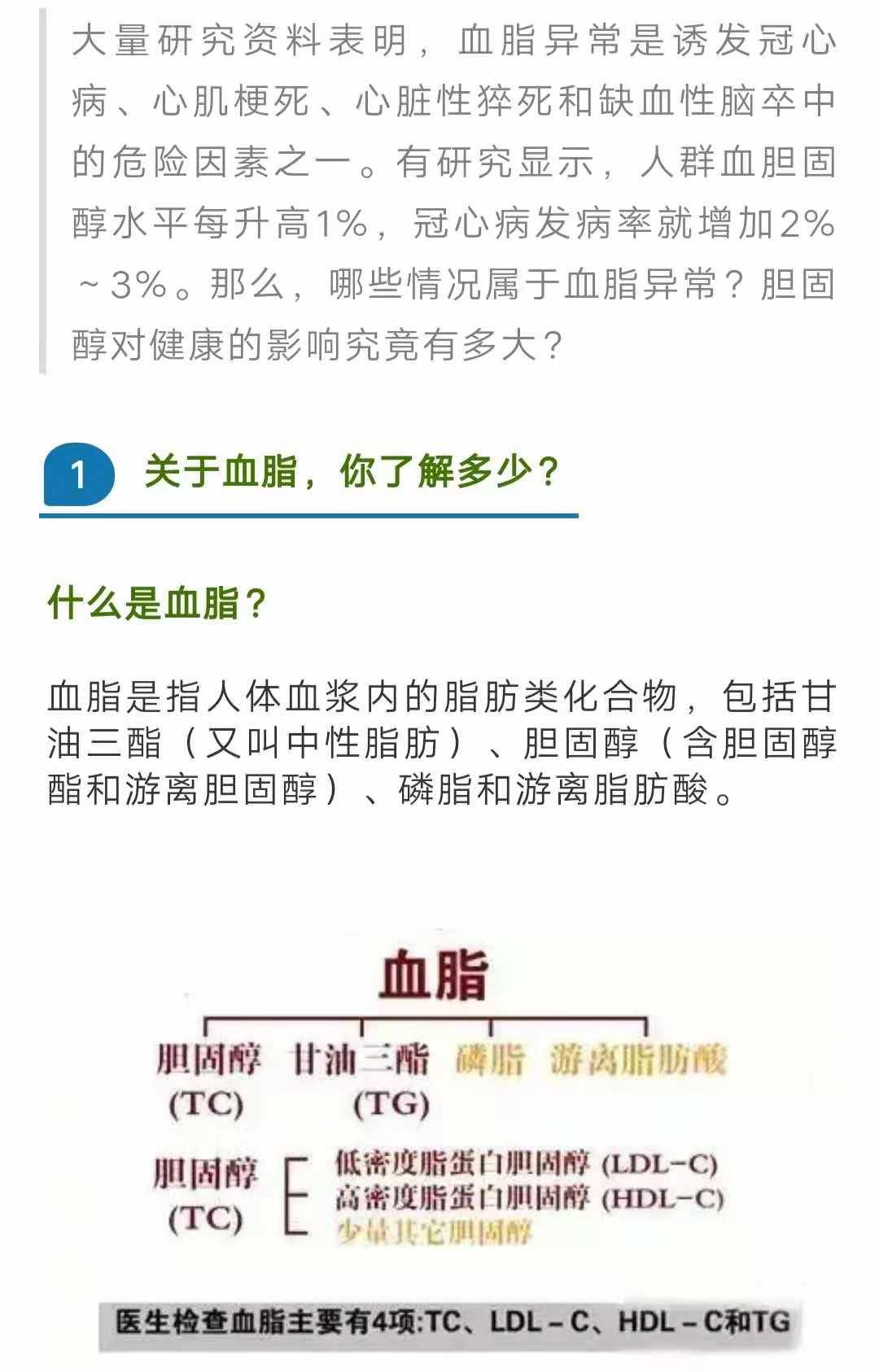 揭秘总胆固醇高背后的秘密，健康警示下的数值挑战——6.1的警示意义