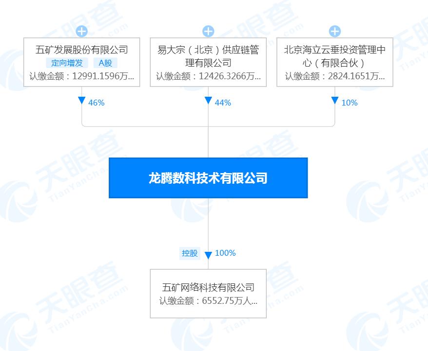 海立集团，多元化领域的先锋领导者