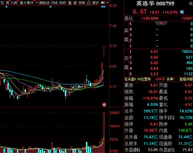 英洛华股吧，股市新星崛起，成为投资新宠？