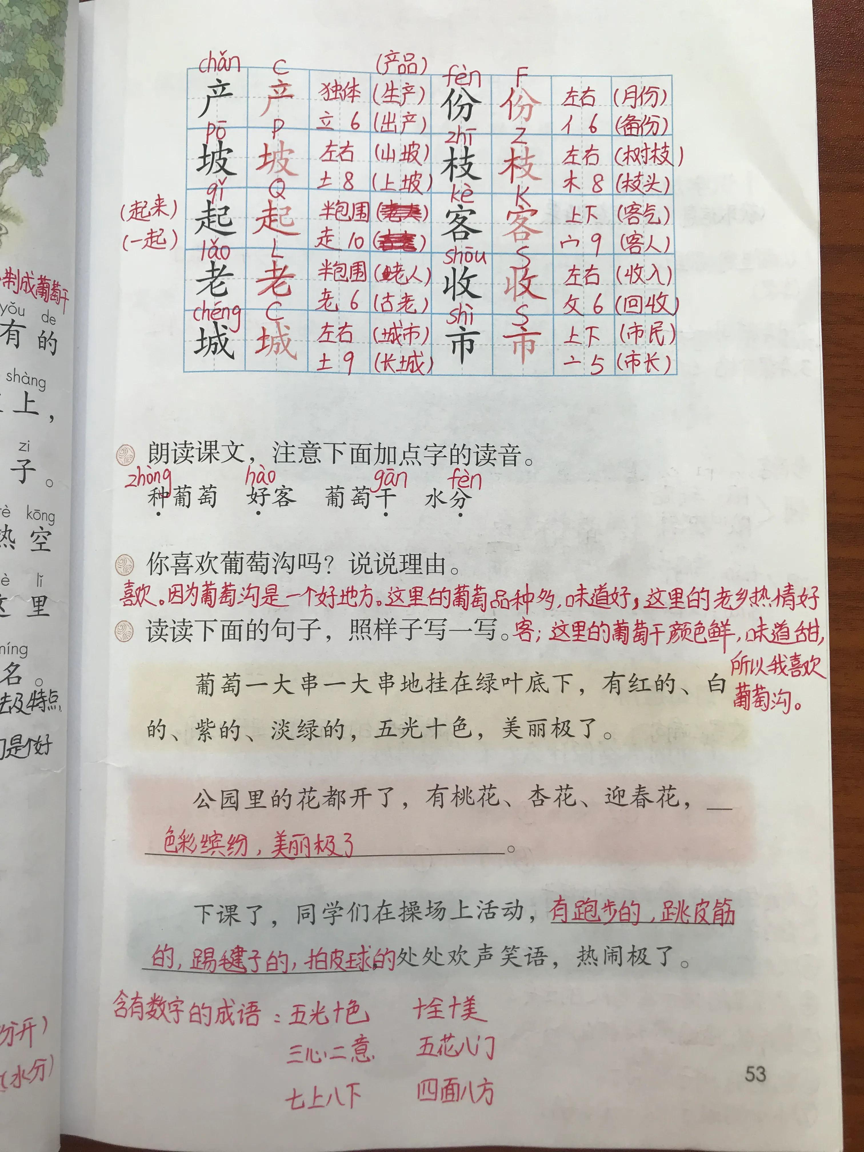 葡萄之韵，探寻多样魅力与丰富内涵