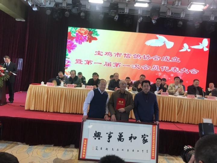 中国信鸽协会官网APP下载指南，轻松获取赛事信息与养鸽资讯