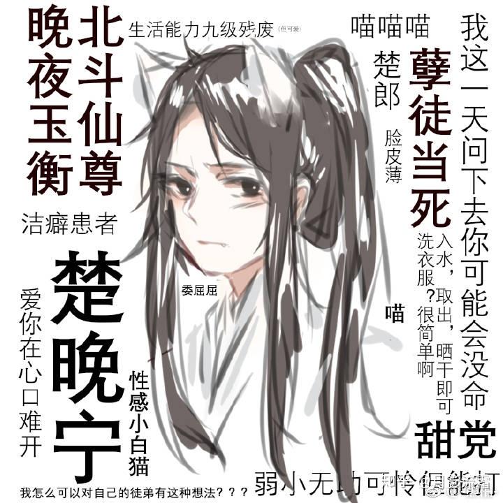 二哈与白猫师尊，辜负之痛