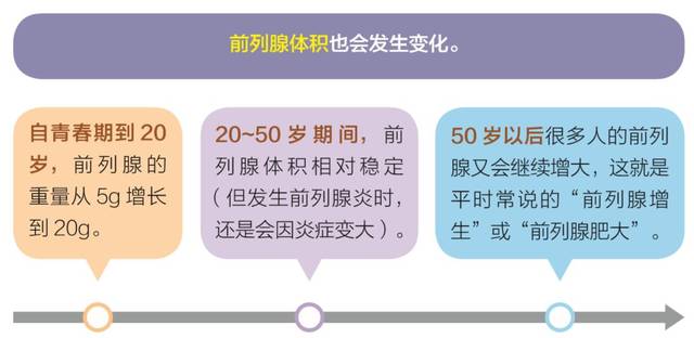 前列腺关键年龄解析，守护男性健康之路