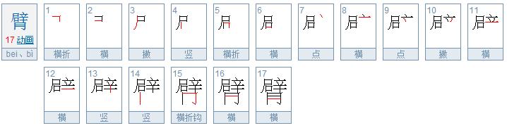 揭秘汉字奥秘，臂的组词与部首深度探究