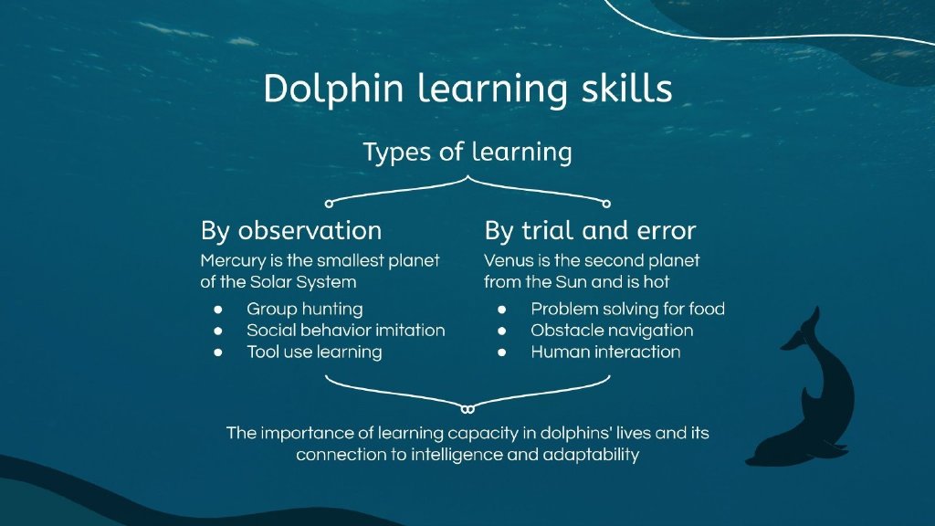 警惕海豚数学背后的潜在危害，揭示其深远影响与后果