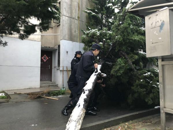 常州气候之旅，四季如画的城市天气探索