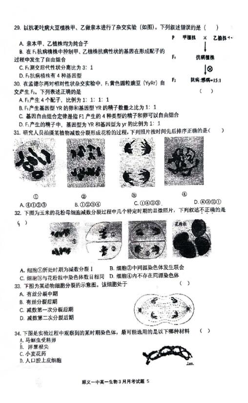 高难度海龟汤谜题挑战与解析全攻略