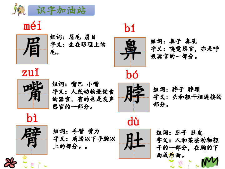 眉抛舞动，探寻组词的魅力与韵律