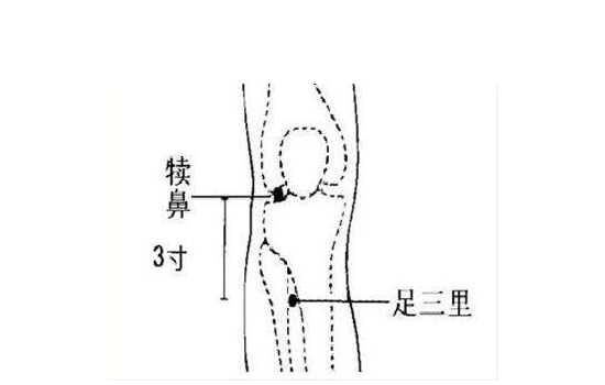 犊鼻与外膝眼差异深度解析