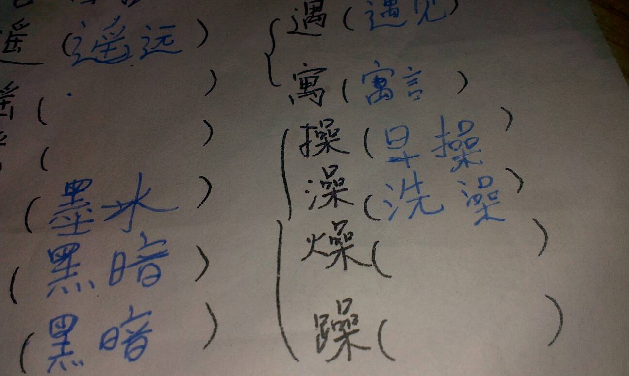 盲组二字词汇，魅力探寻与启示思考