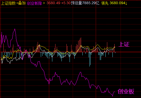 冯矿伟股市直播间，深度解析股市行情，引领投资者免费前行之路