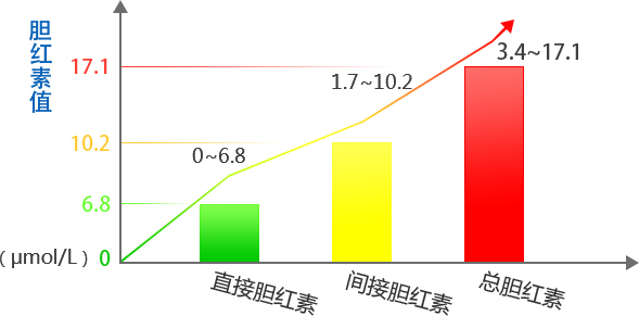 直接胆红素，功能、作用解析及异常处理揭秘